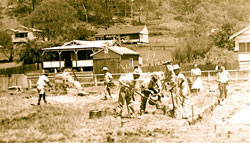 The community building the Wagstaffe Hall circa mid 1900's