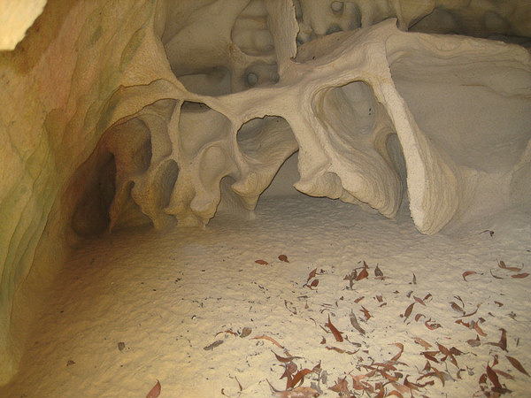 Skeletal Sandstone Landform, Bouddi Peninsula